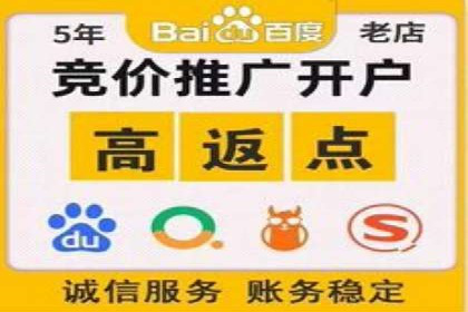 SEM代理案例：揭秘成功背后的秘密